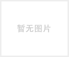 西北奔牛10S刮板厂家直销，65S刮板，86S刮板批发